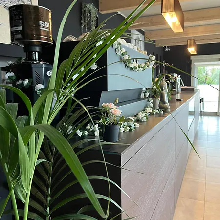 La Rondinella 3* Cerasolo