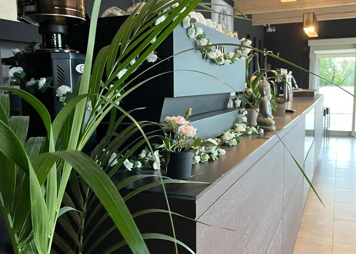 La Rondinella 3* Cerasolo